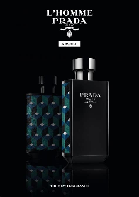 fragrance similar to prada l homme|Prada l'homme house of fraser.